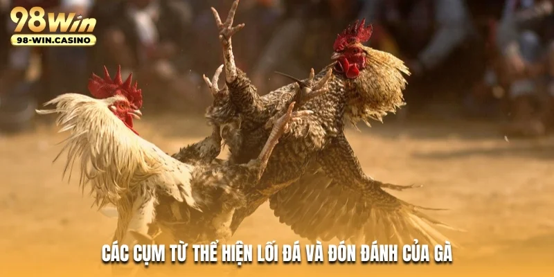 Các cụm từ thể hiện lối đá và đón đánh của gà