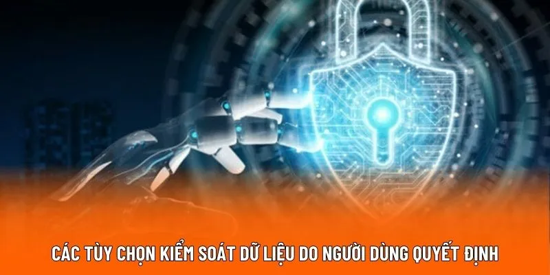Các tùy chọn kiểm soát dữ liệu do người dùng quyết định
