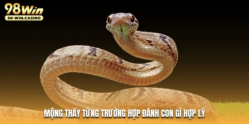 Mộng thấy từng trường hợp đánh con gì hợp lý