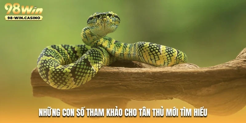 Những con số tham khảo cho tân thủ mới tìm hiểu